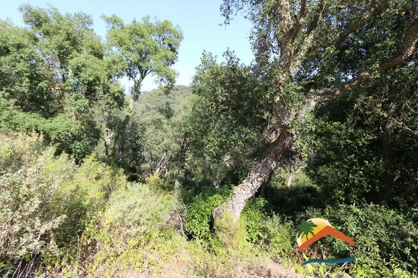 Residential land for sale in Serra Brava, imagen 2