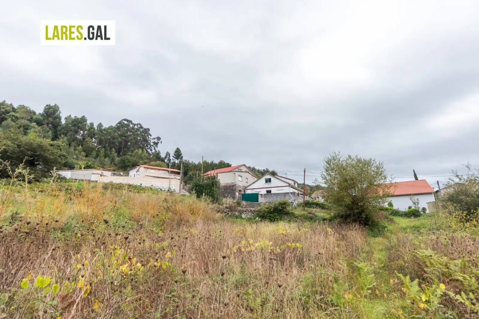 Terrain rustique à vendre à Paradela, imagen 16