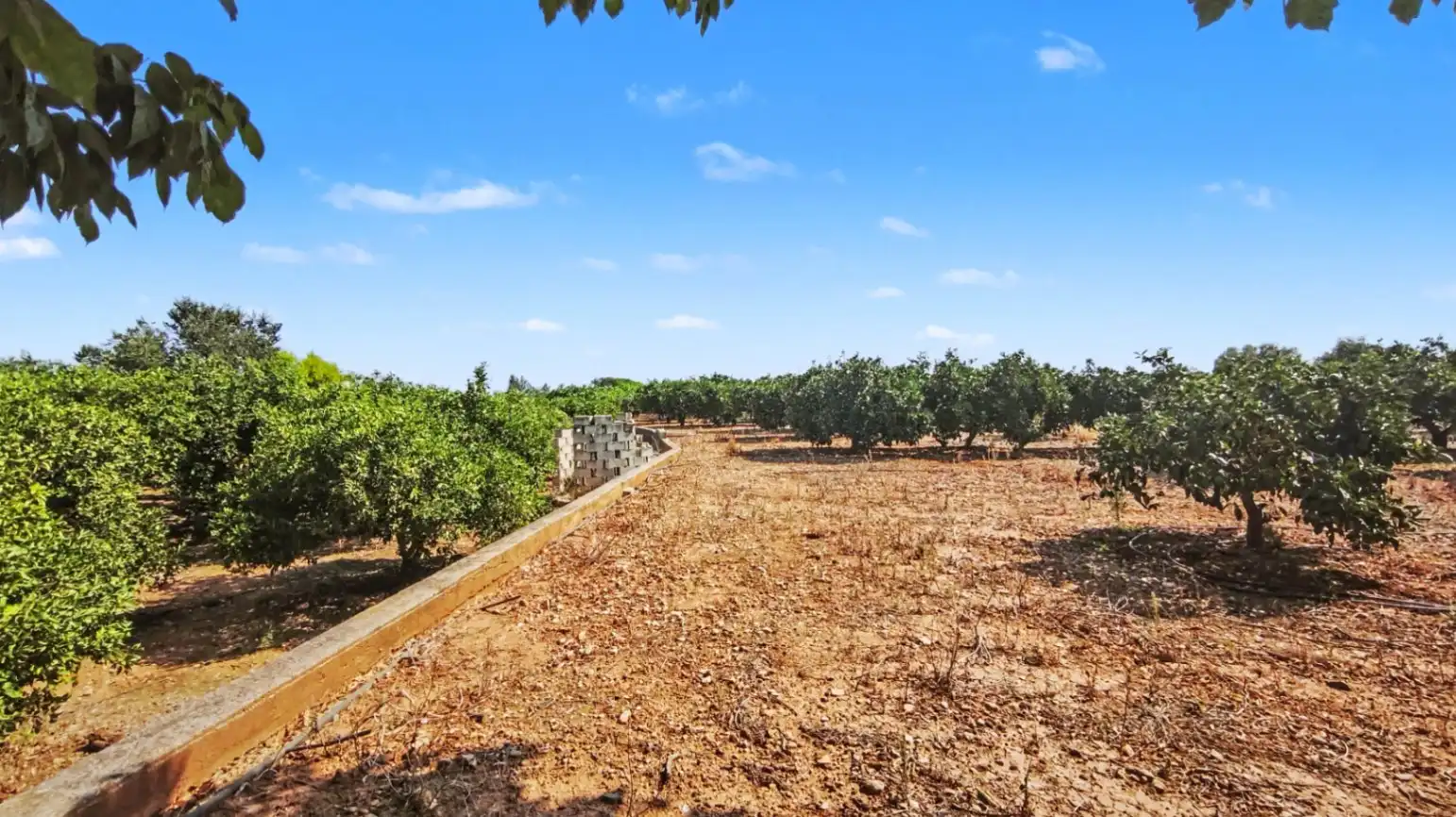 Lands and plots for sale in Ondara, imagen 7