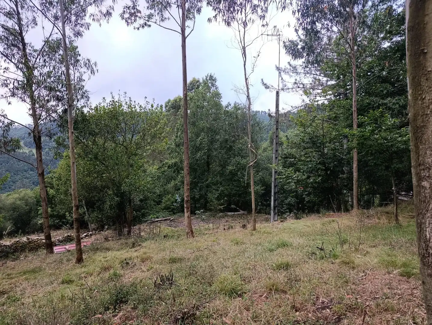 Country homes for sale in Pravia