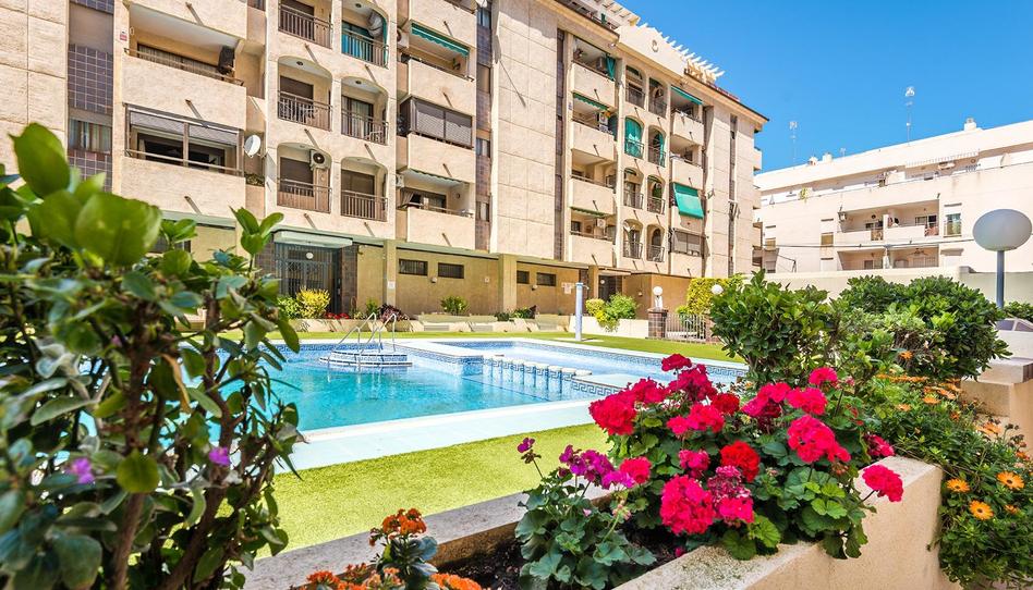 Foto 1 de Apartament en venda a Parque de las Naciones, Alicante