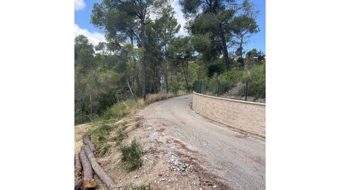 Parcela Venta Viladecavalls, imatge 4