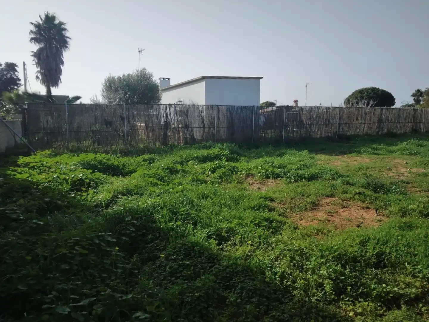 Terrenys i solars en venda a Las Lagunas - Campano, imagen 7