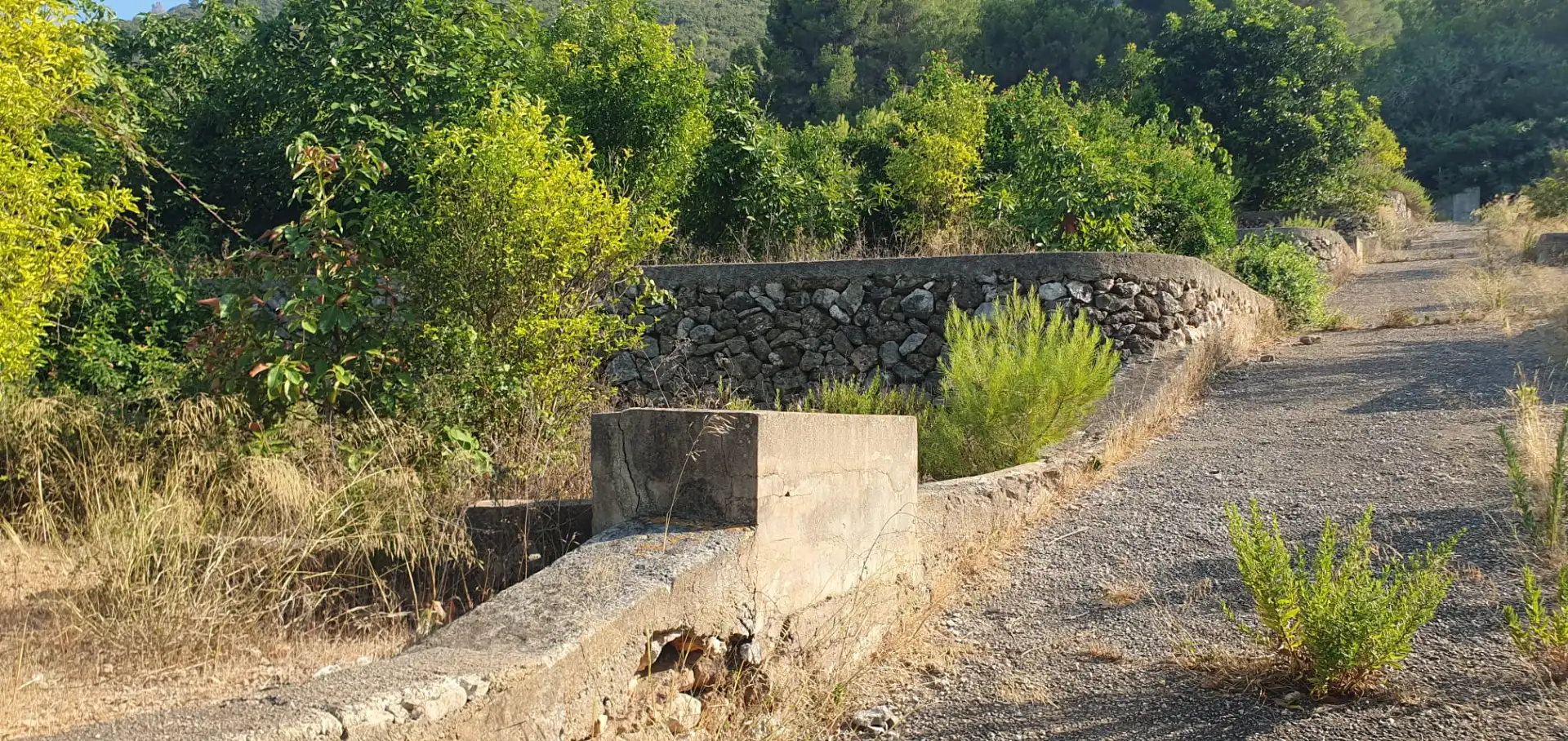 Terrain rustique à vendre à Diseminado Casa Canet, imagen 2