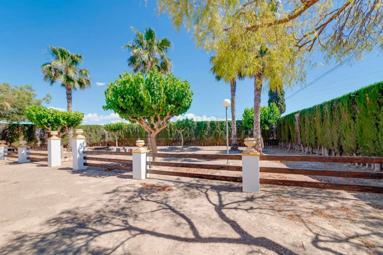 Villa con giardino in vendita a Algorfa, imagen 50