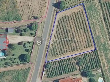 Rural land for sale in Verín