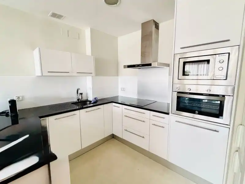Kitchen of Apartments for rent in Madrid  with Air Conditioner, Private garden and Parquet flooring