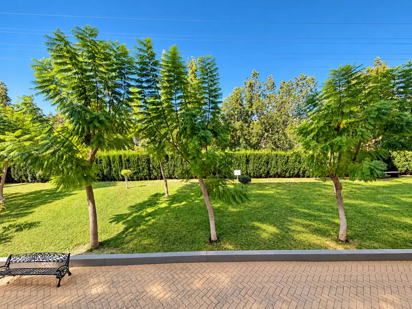 Jardí de Apartament en venda en Los Boliches 