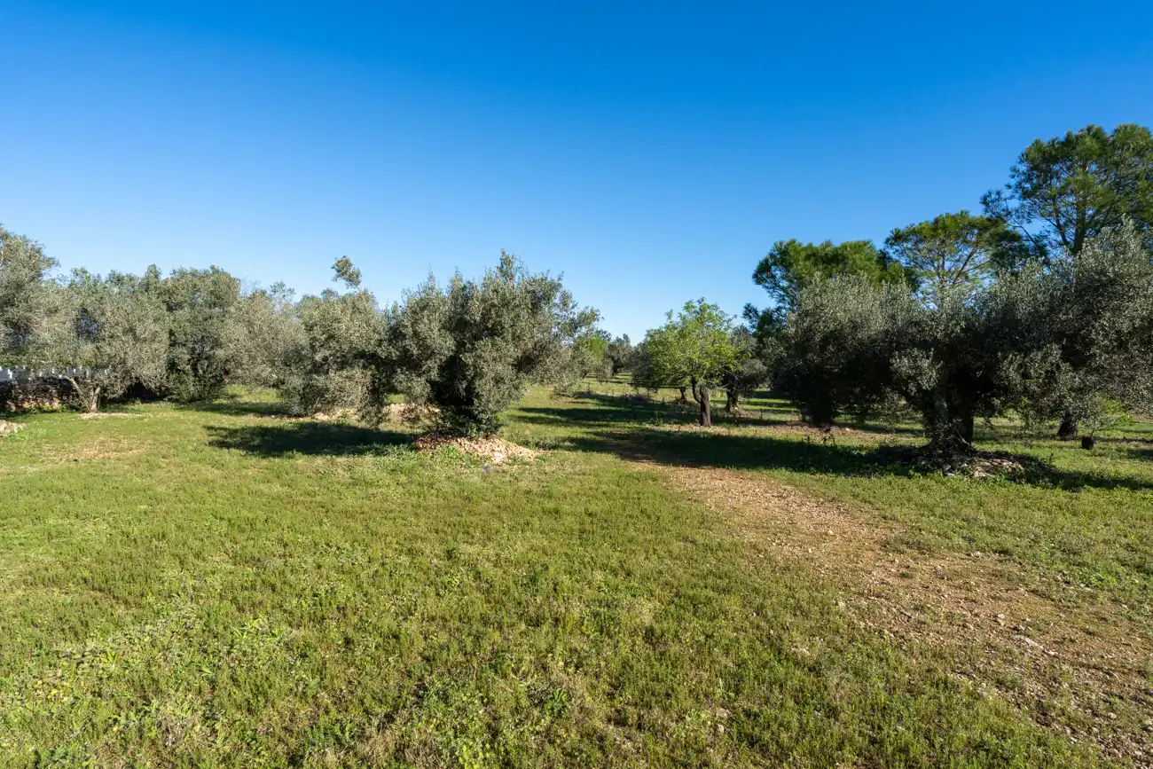 Finca rústica en venta en Roquetes con Amueblado