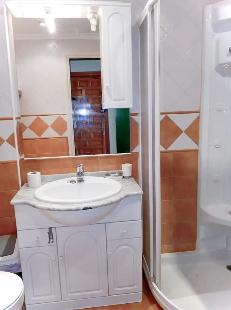 Apartments for rent in El Bajondillo