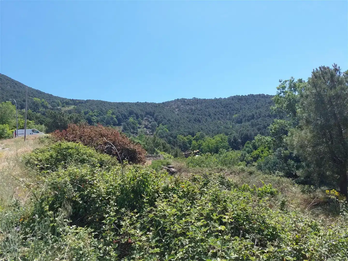 Finca rústica en venta en Mijares