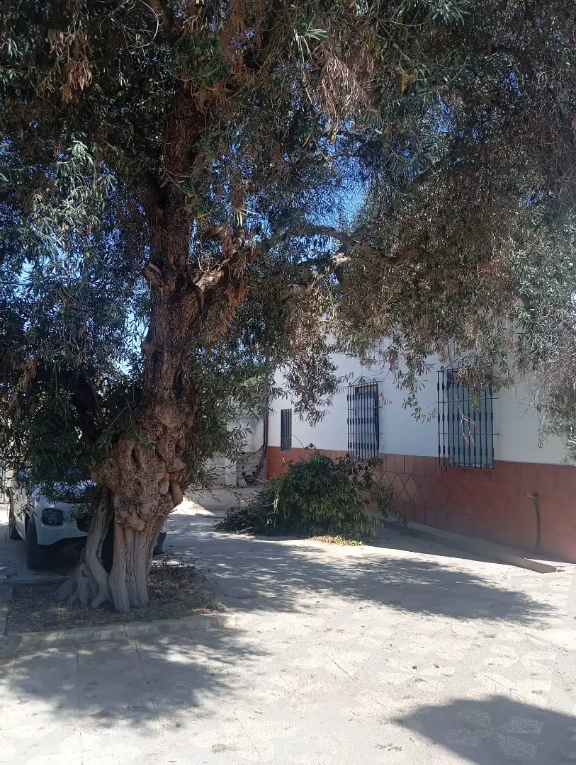 Xalet amb jardí en venda a Urbanización la Hermandad, imagen 46