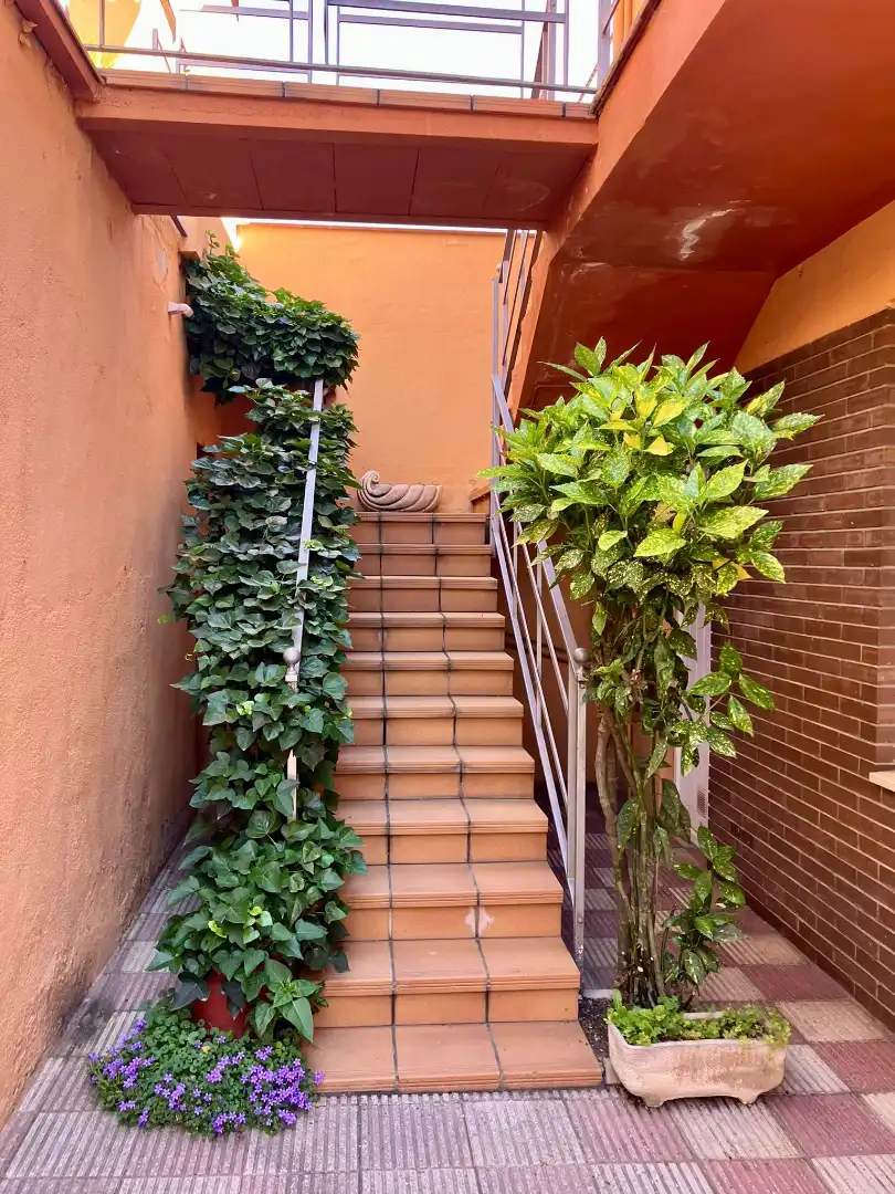 Vista exterior de Casa o xalet en venda en Olot amb Calefacció, Terrassa i Balcó
