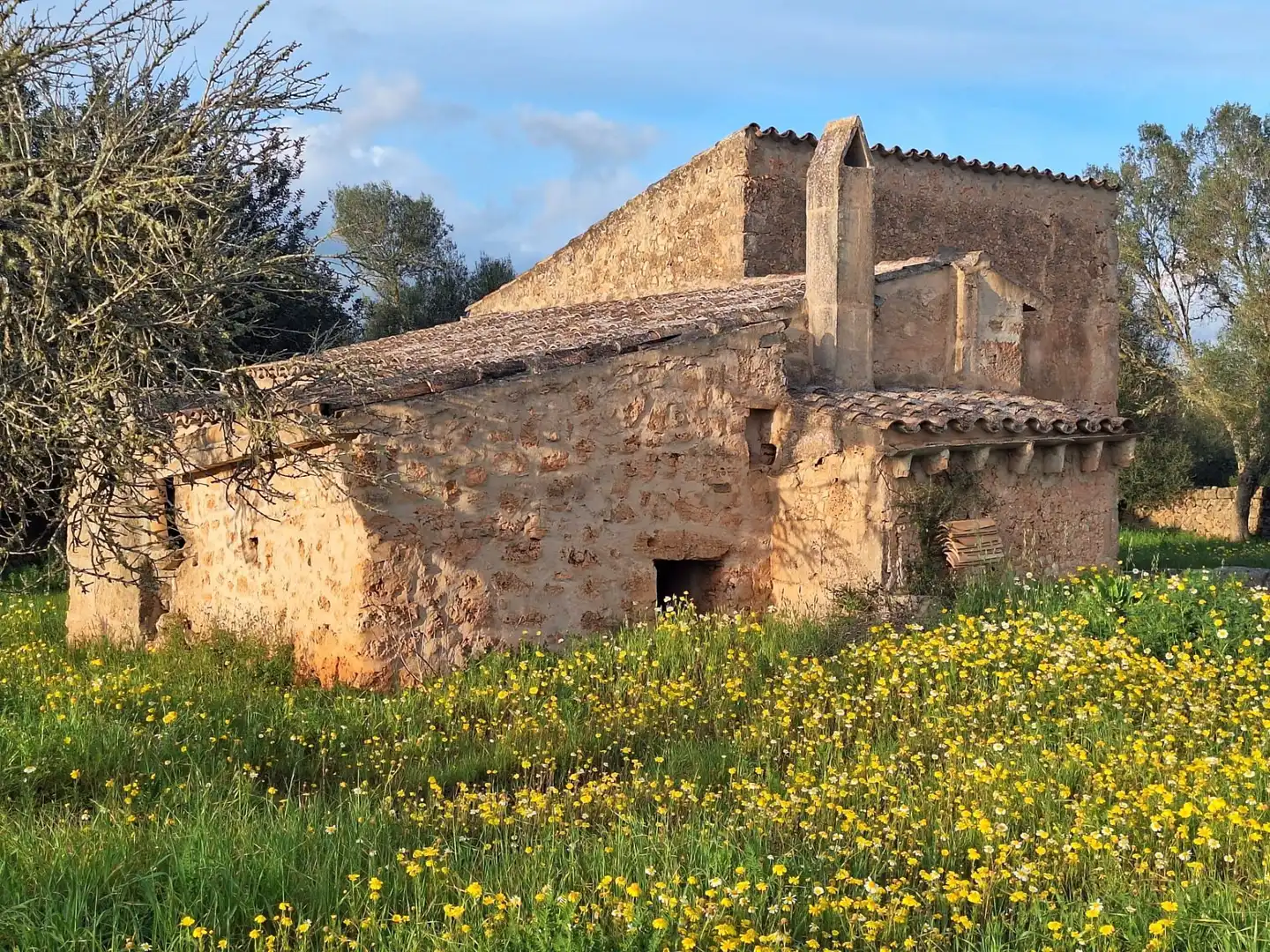 Vista exterior de Finca rústica en venta en Algaida