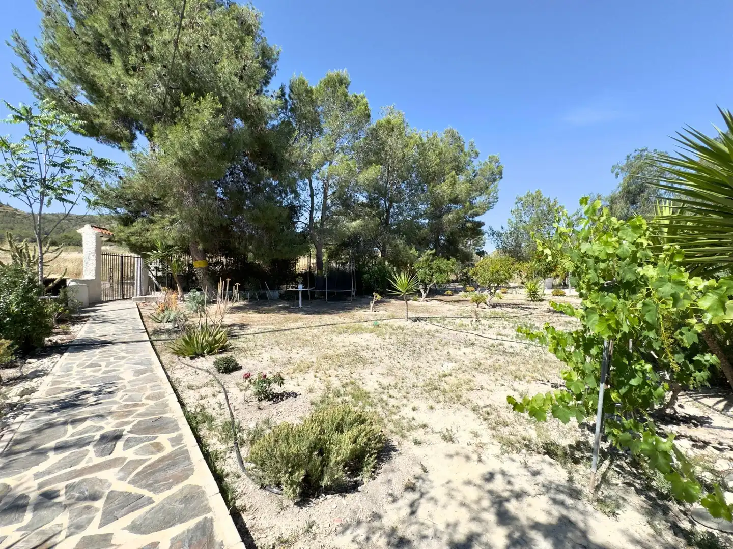 Casa o chalet en venta en Aspe con Calefacción, Jardín privado y Terraza