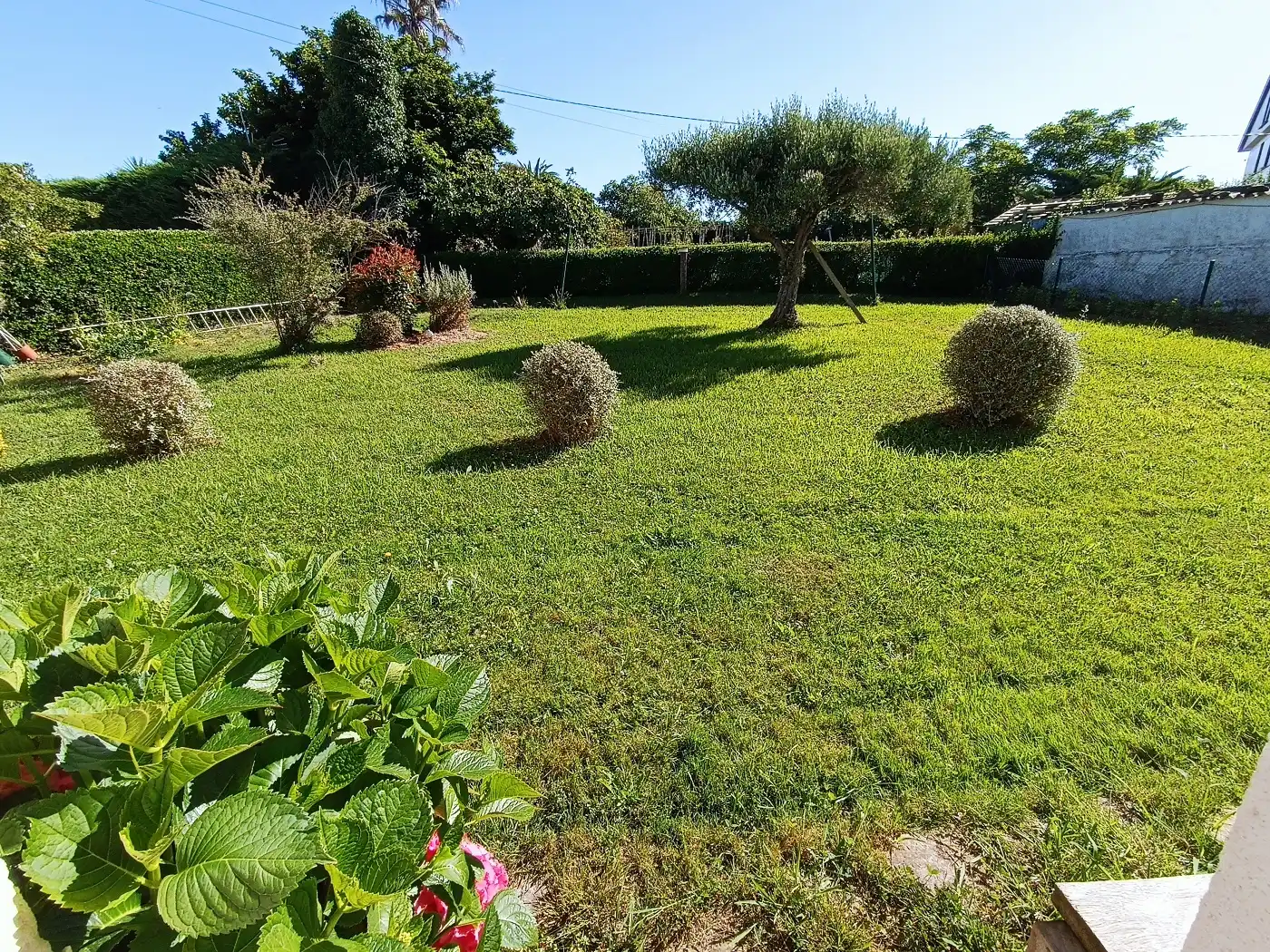 Jardín de Casa o chalet en venta en Barrika con Calefacción, Jardín privado y Terraza
