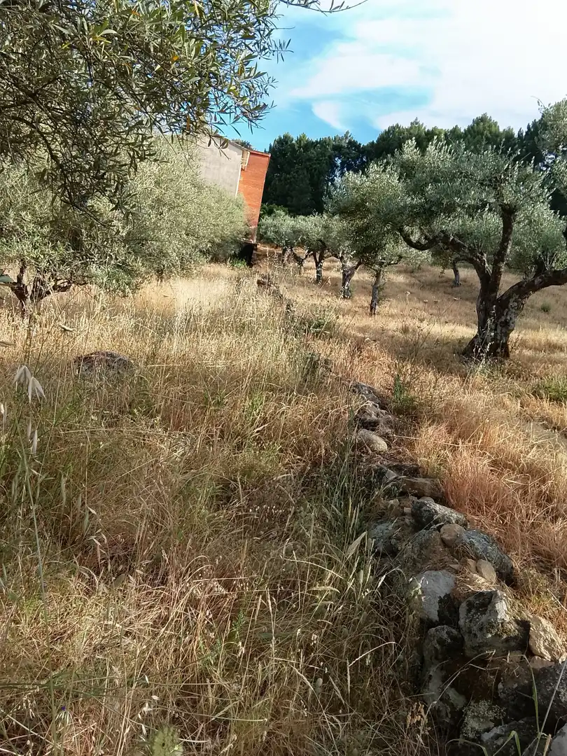 Terreni e lotti in vendita a Madrigal de la Vera, imagen 16