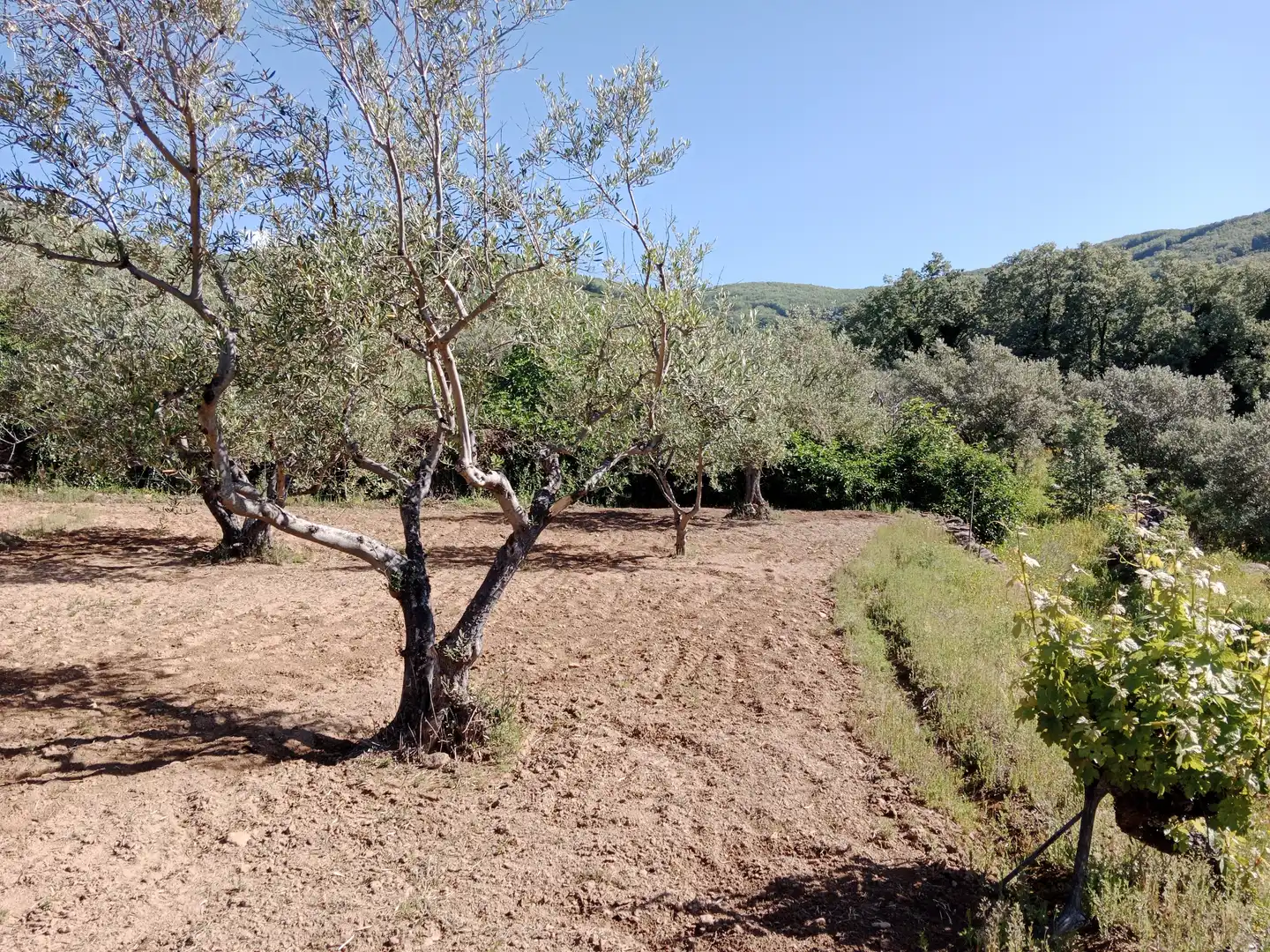 Terreni e lotti in vendita a N/A 0, imagen 27