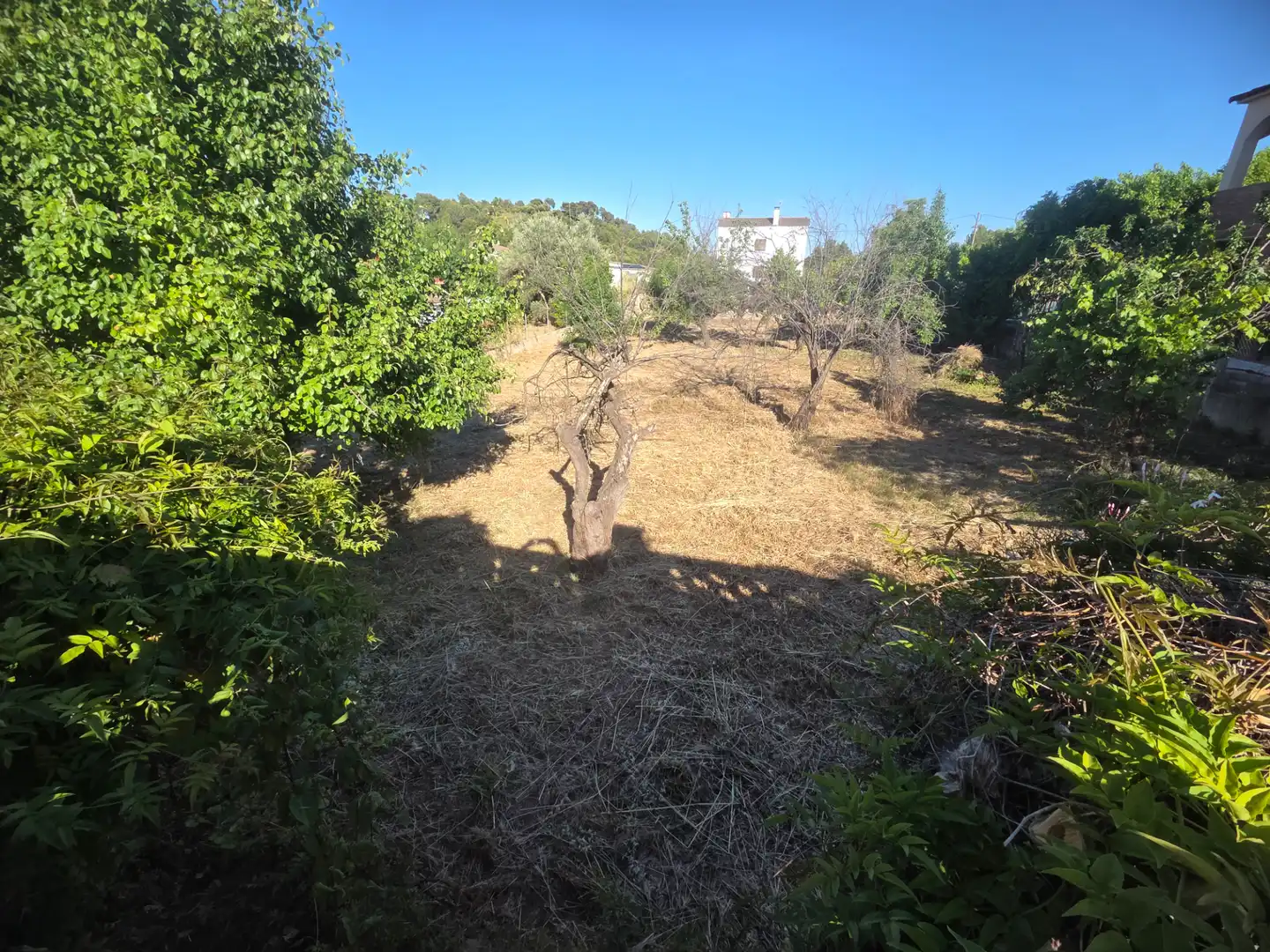 Residential land for sale in Masquefa, imagen 5