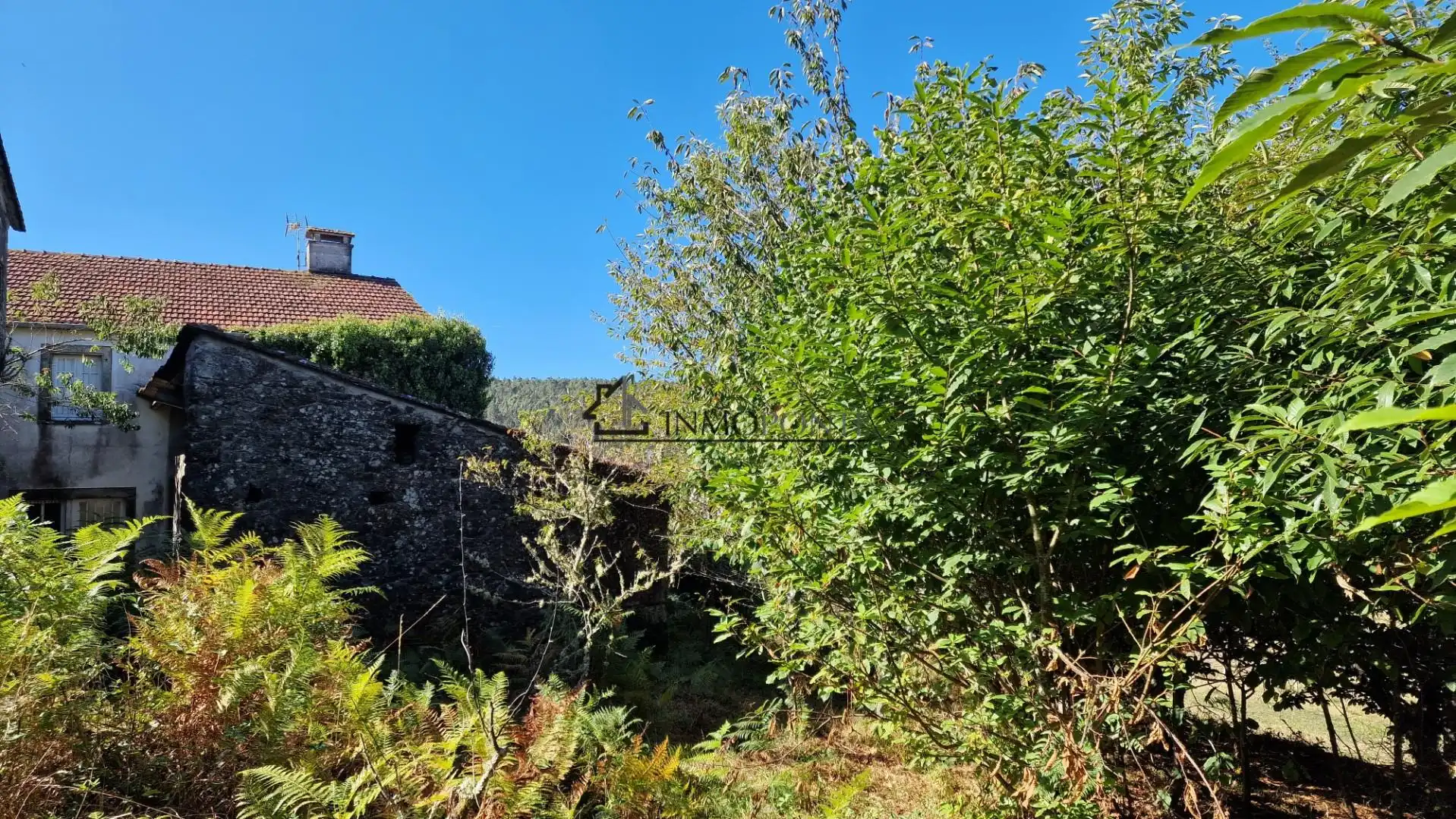 Garden of Houses for sale in Cerdedo
