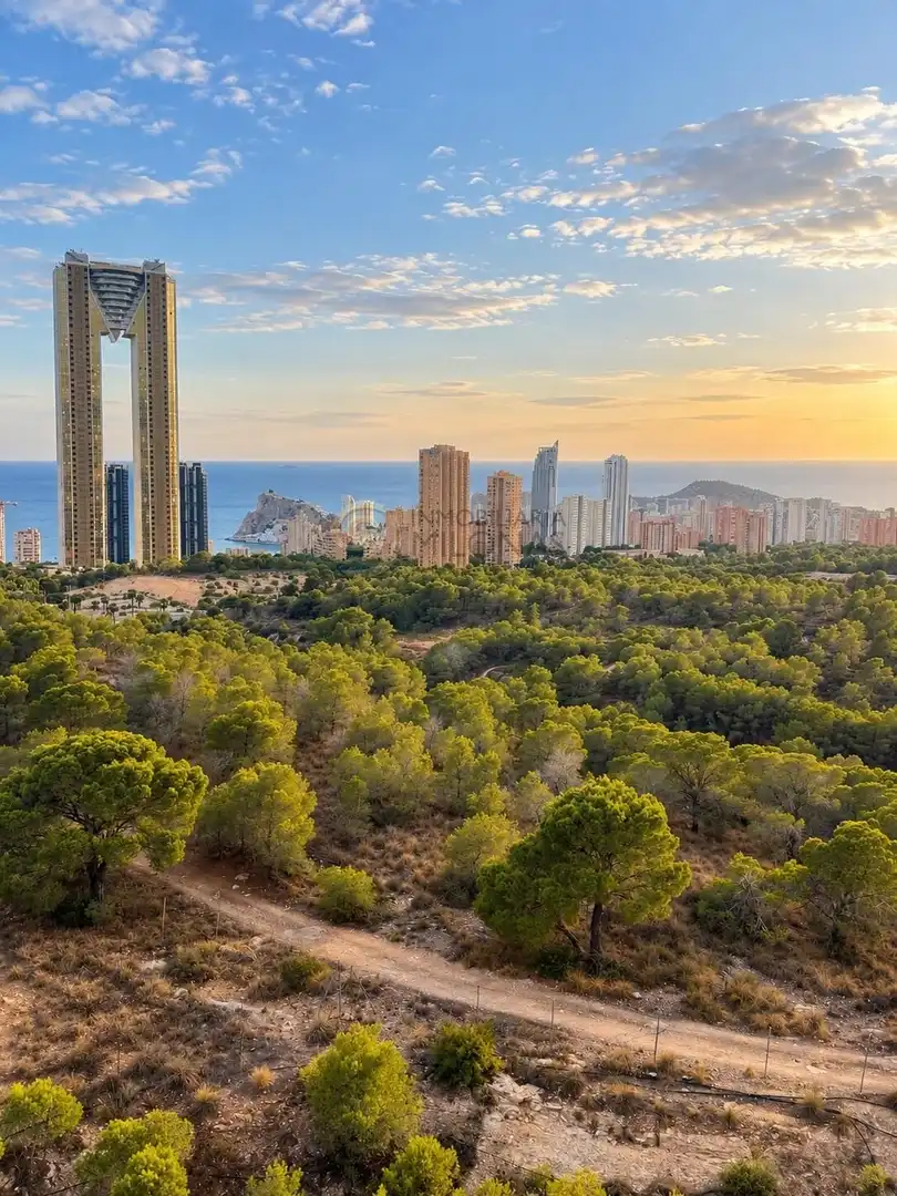 Wohnungen zur Miete in Benidorm, Alicante