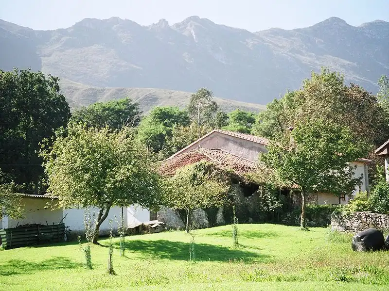 Exterior view of Country homes for sale in Llanes