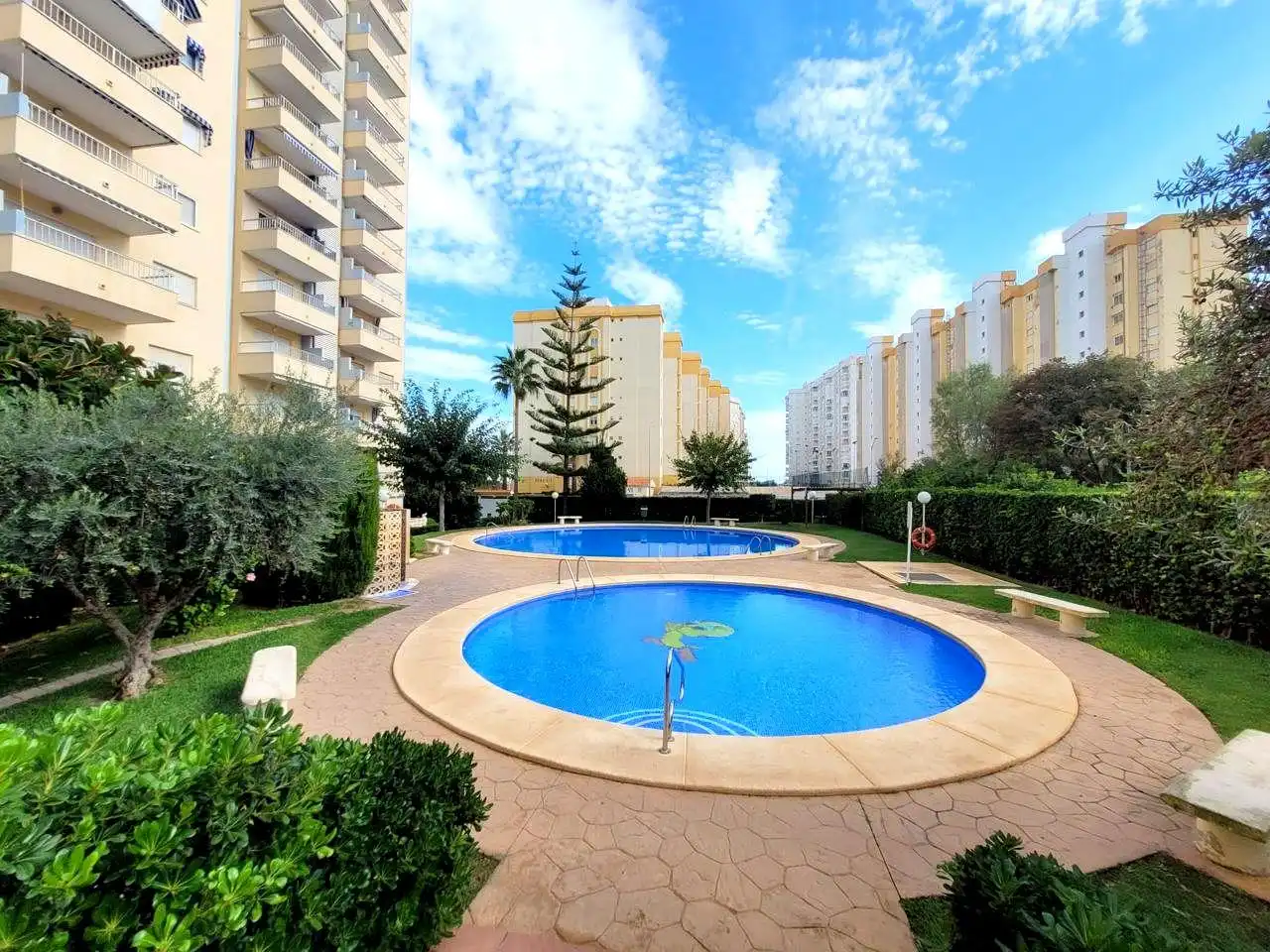 Piscina de Apartament de lloguer en Gandia amb Terrassa, Moblat i Piscina comunitària