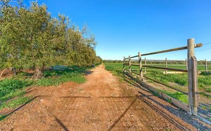 Land for sale in Santa Oliva