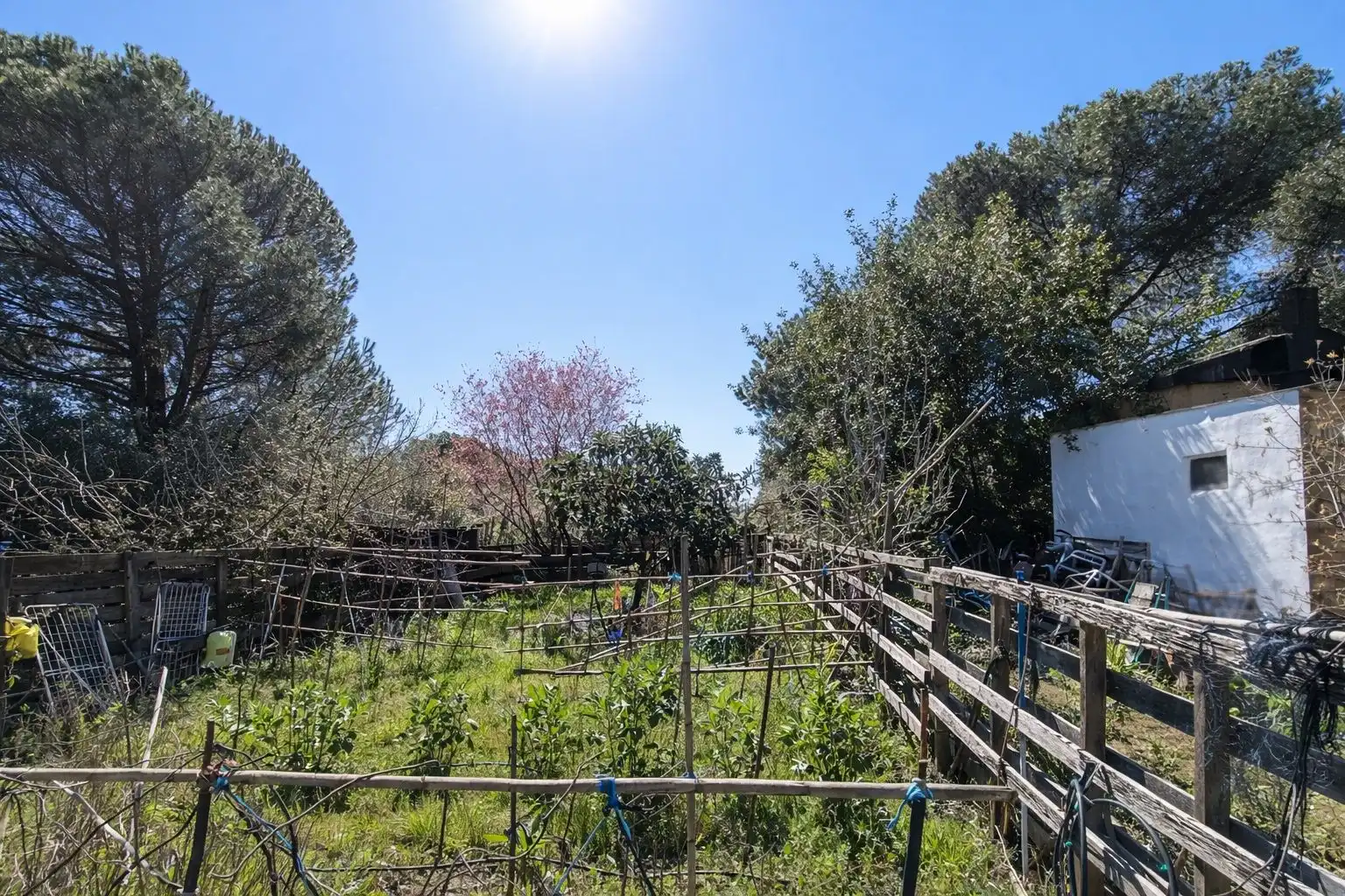 Finca rústica en venda en Andújar amb Jardí privat i Terrassa