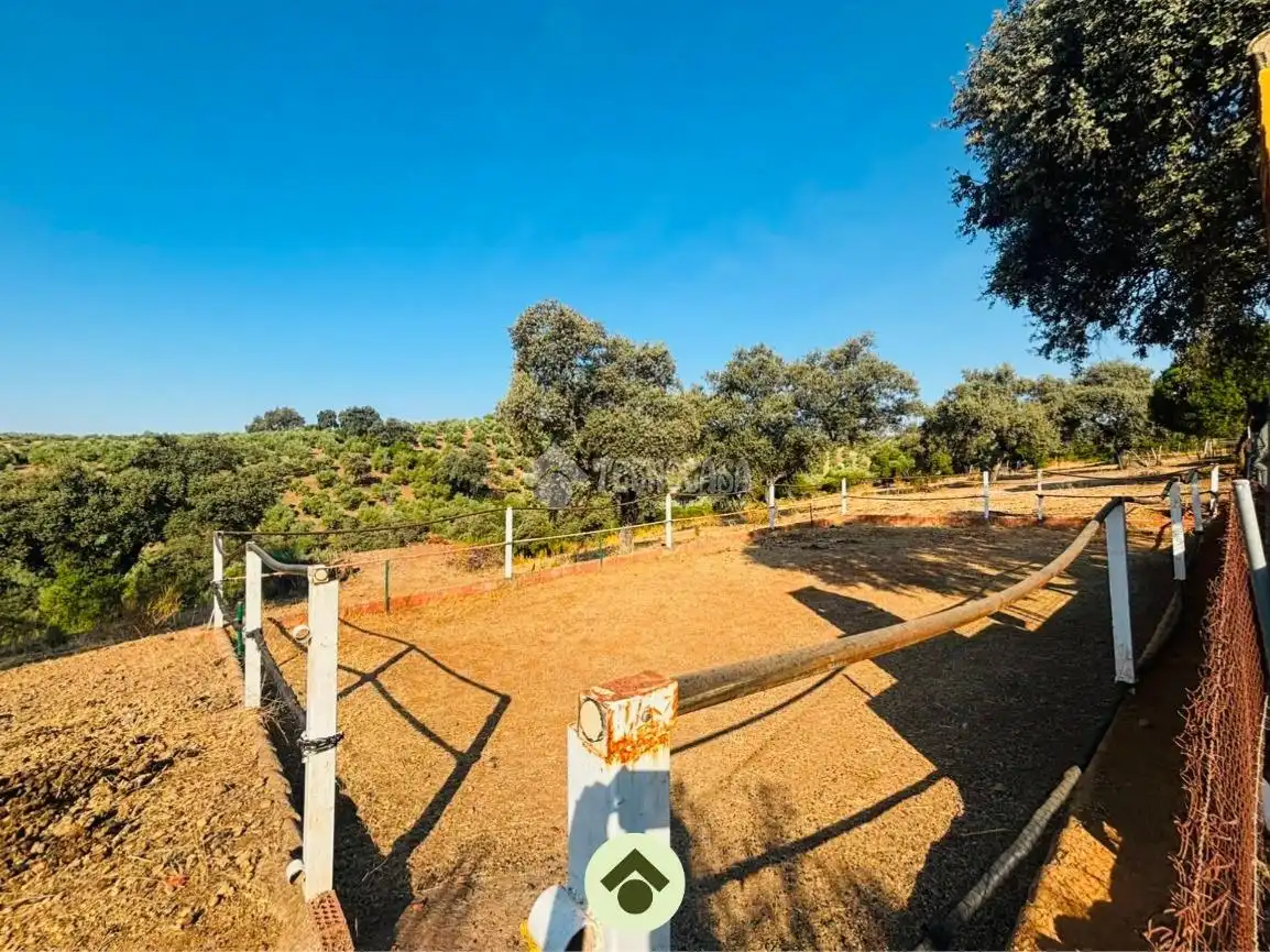 Finca rústica en venta en Adamuz con Aire acondicionado y Piscina