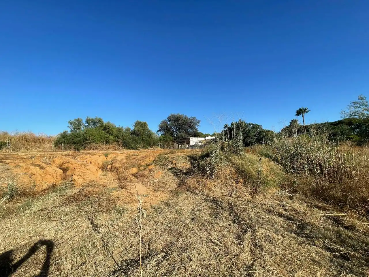 Terreni e lotti in vendita a La Puebla del Río