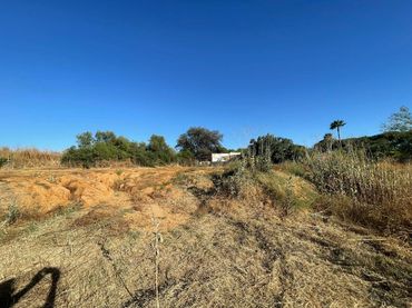 Lands and plots for sale in La Puebla del Río