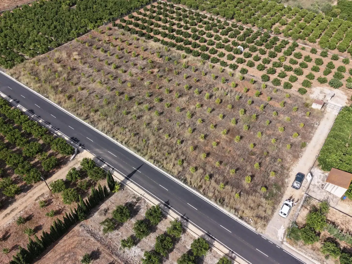 Rural land for sale in CV-715 10, imagen 3