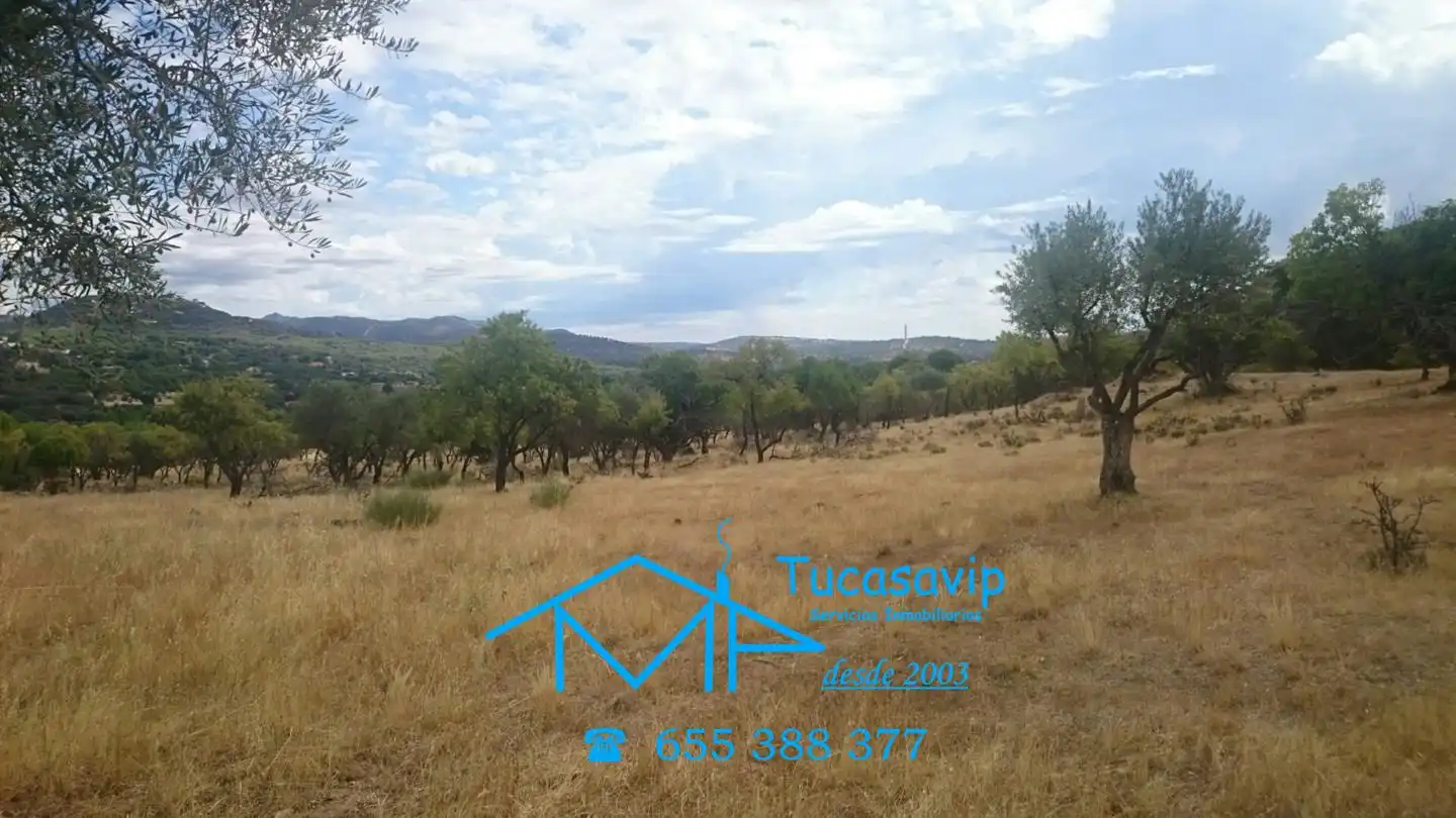 Rural land for sale in Pelayos de la Presa, imagen 4