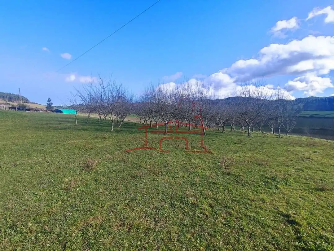 Terreno rustico in vendita a Abadiño