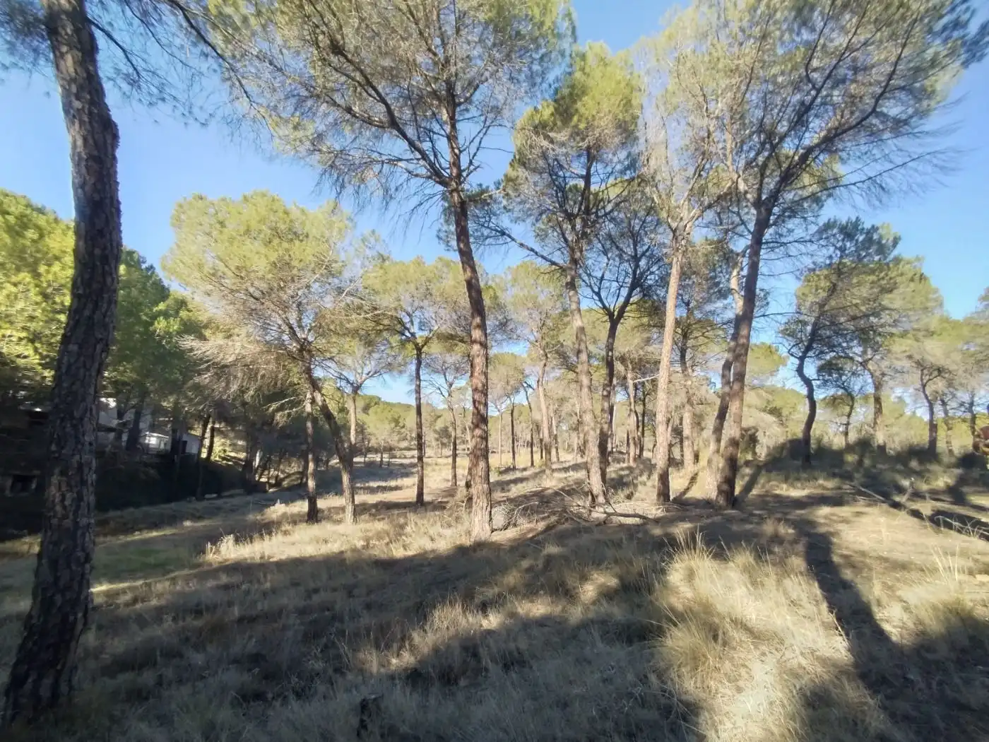Terreny rústic en venda a Villalgordo del Júcar