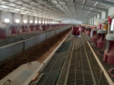 Terreno rustico in vendita a Fuenterrobles