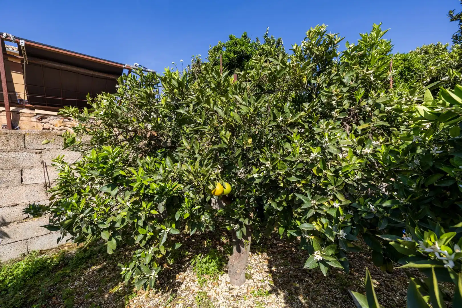 Jardí de Residencial en venda en Lecrín