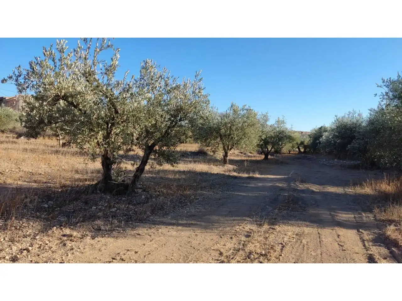 Terrenos y solares en venta en Calle GREDEROS, imagen 4