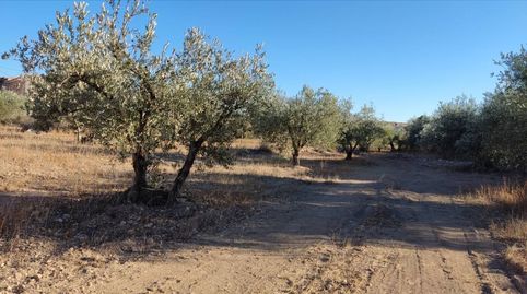 TERRENO URBANO EN VENTA., immagine 4