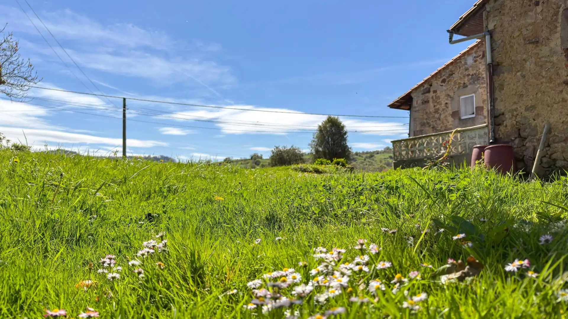 Jardín de Casa o chalet en venta en Comillas (Cantabria)