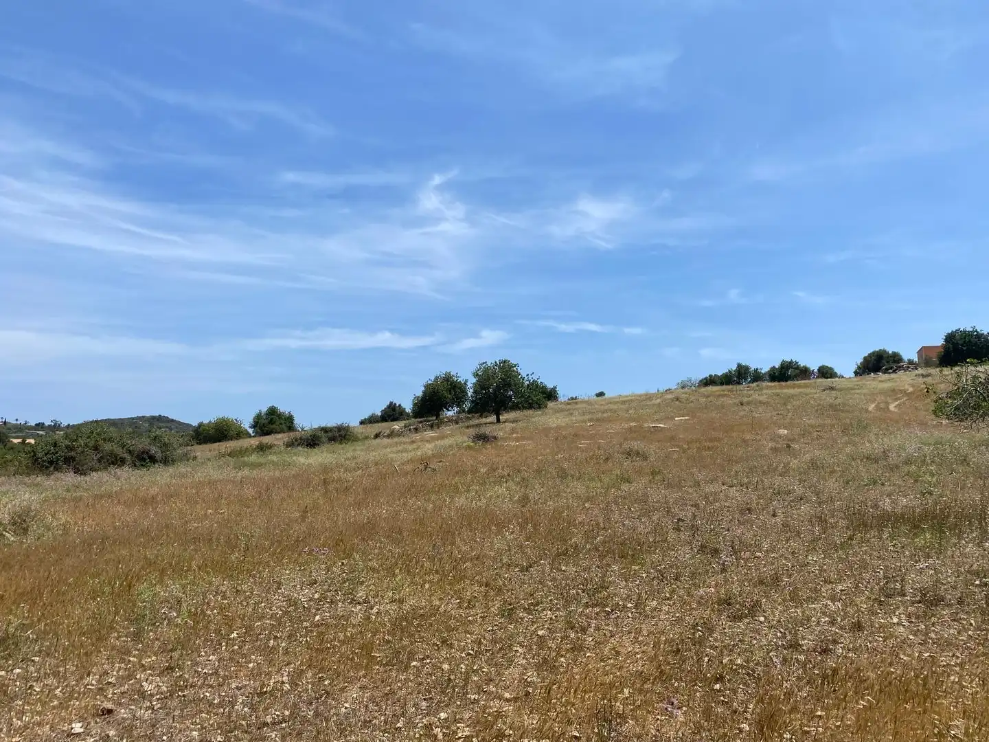 Grundstücke und Bauplätze zum Verkauf in Zona d'Interior, imagen 5
