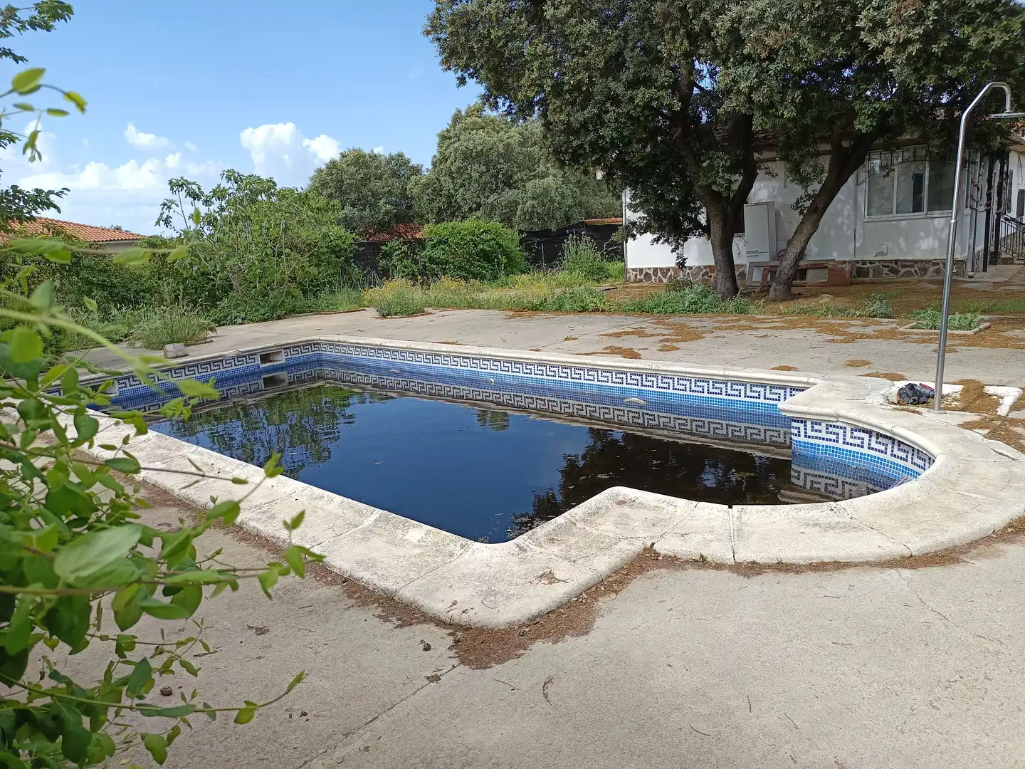 Piscina de Casa o chalet en venta en El Casar de Escalona con Jardín privado y Alarma