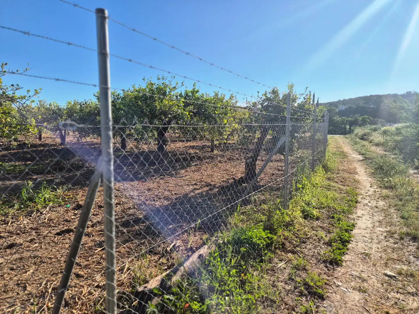 Rustikales Grundstück zum Verkauf in Álora, imagen 2