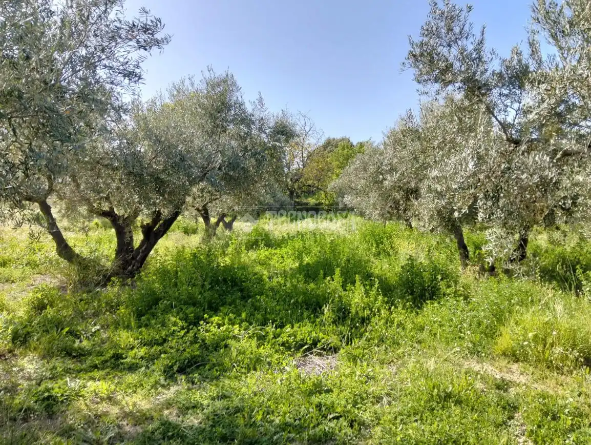 Rural land for sale in Dúrcal, imagen 2