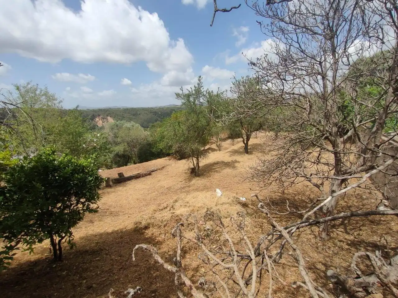 Country homes for sale in Els Hostalets de Pierola  with Private garden