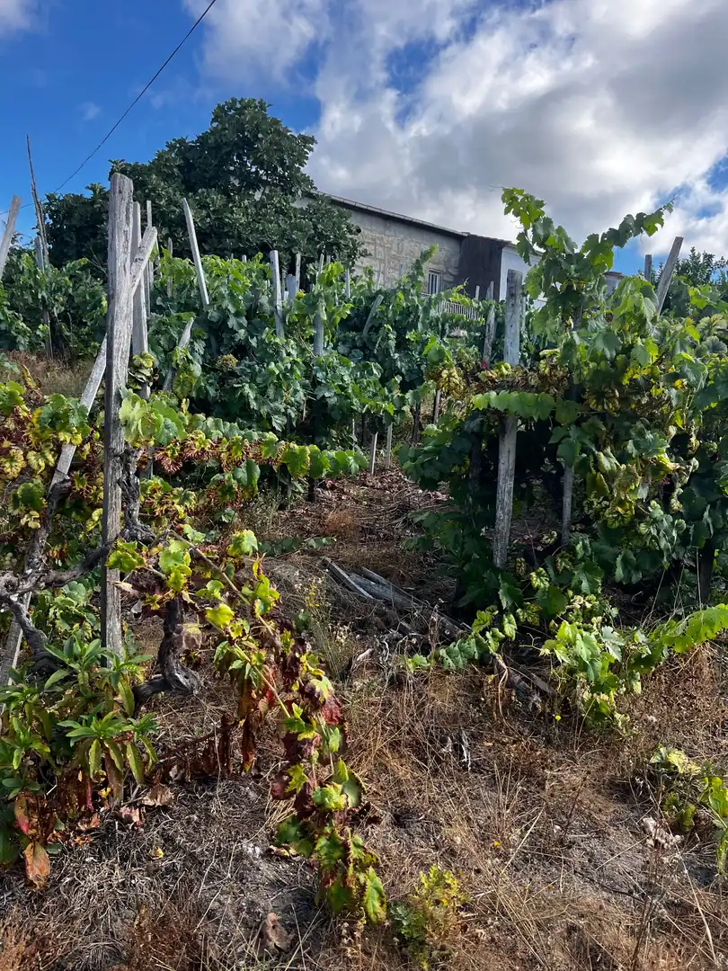 Casa rústica en venda a Punxín, imagen 10