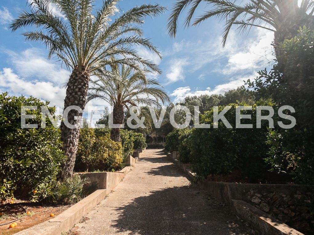 Vista exterior de Finca rústica en venta en Carcaixent con Calefacción, Jardín privado y Terraza