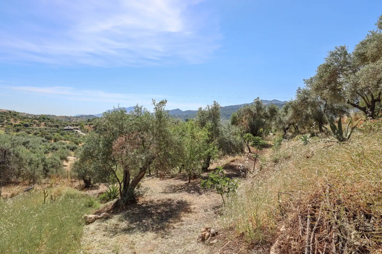 Casa o xalet en venda en Monda amb Aire condicionat, Jardí privat i Piscina