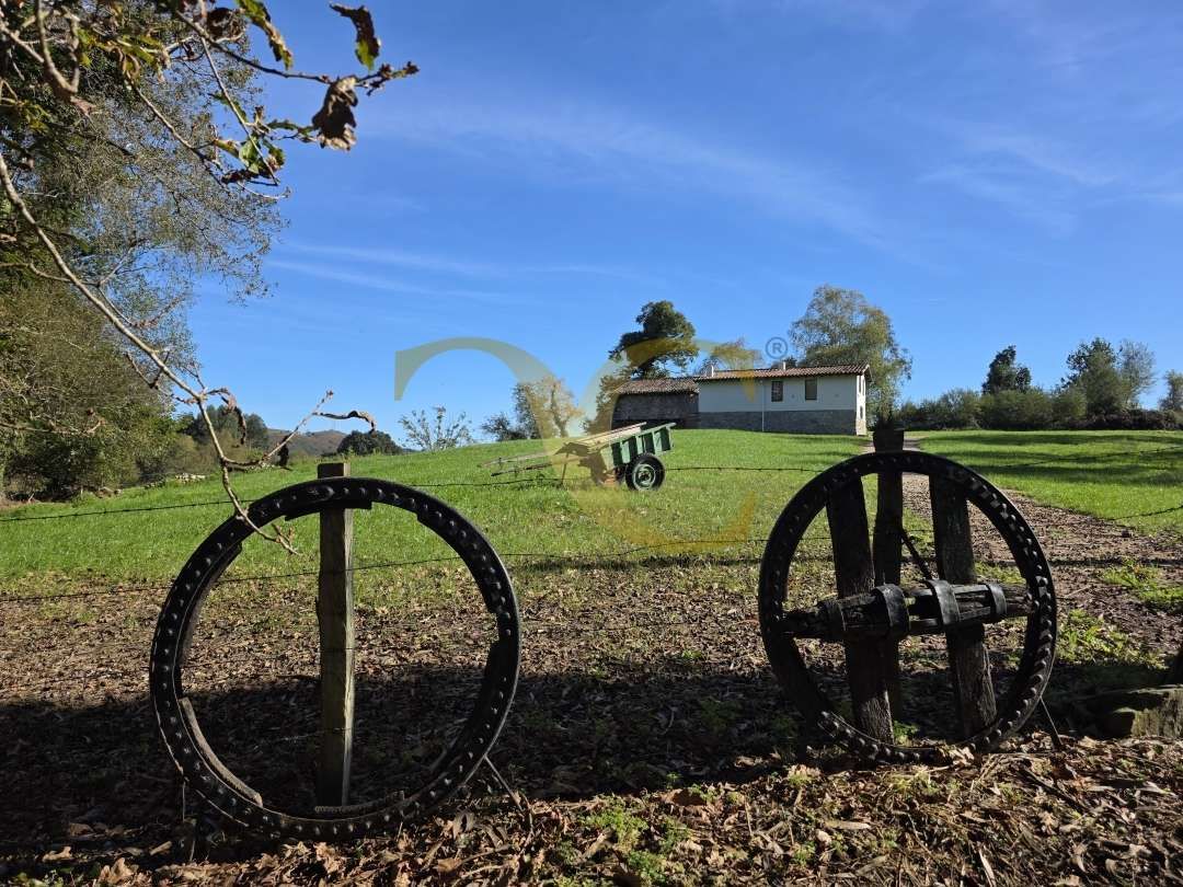 Exterior view of House or chalet for sale in Llanes  with Heating, Private garden and Storage room